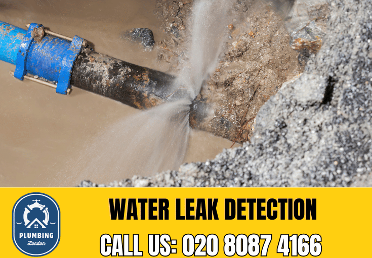 leak detection Kensington