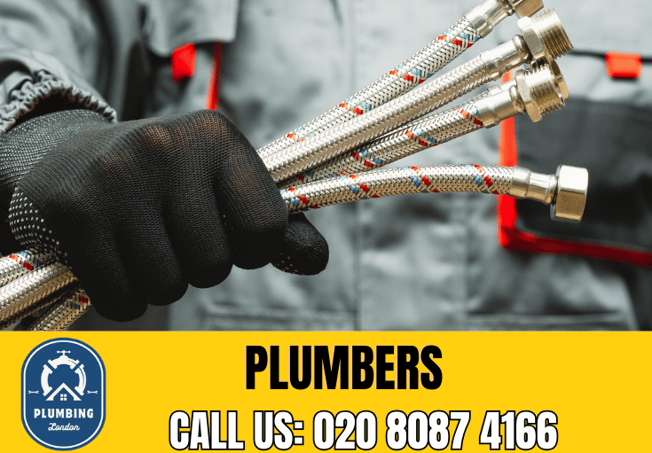  plumber Tufnell Park